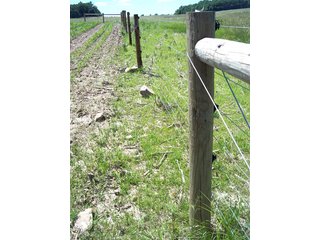 18.373 Acres (13 acres of productive cropland w/0.5 acres of CRP waterways).

- 3 Miles to I-70 exchange.
- 1800's Brick Federal home w/2700 SF.
- Stocked pond for family recreation.
- 1700 Ft. of road fronatage.
- A mix of woodland and tillable land. - 18.373 Acres with Country Home